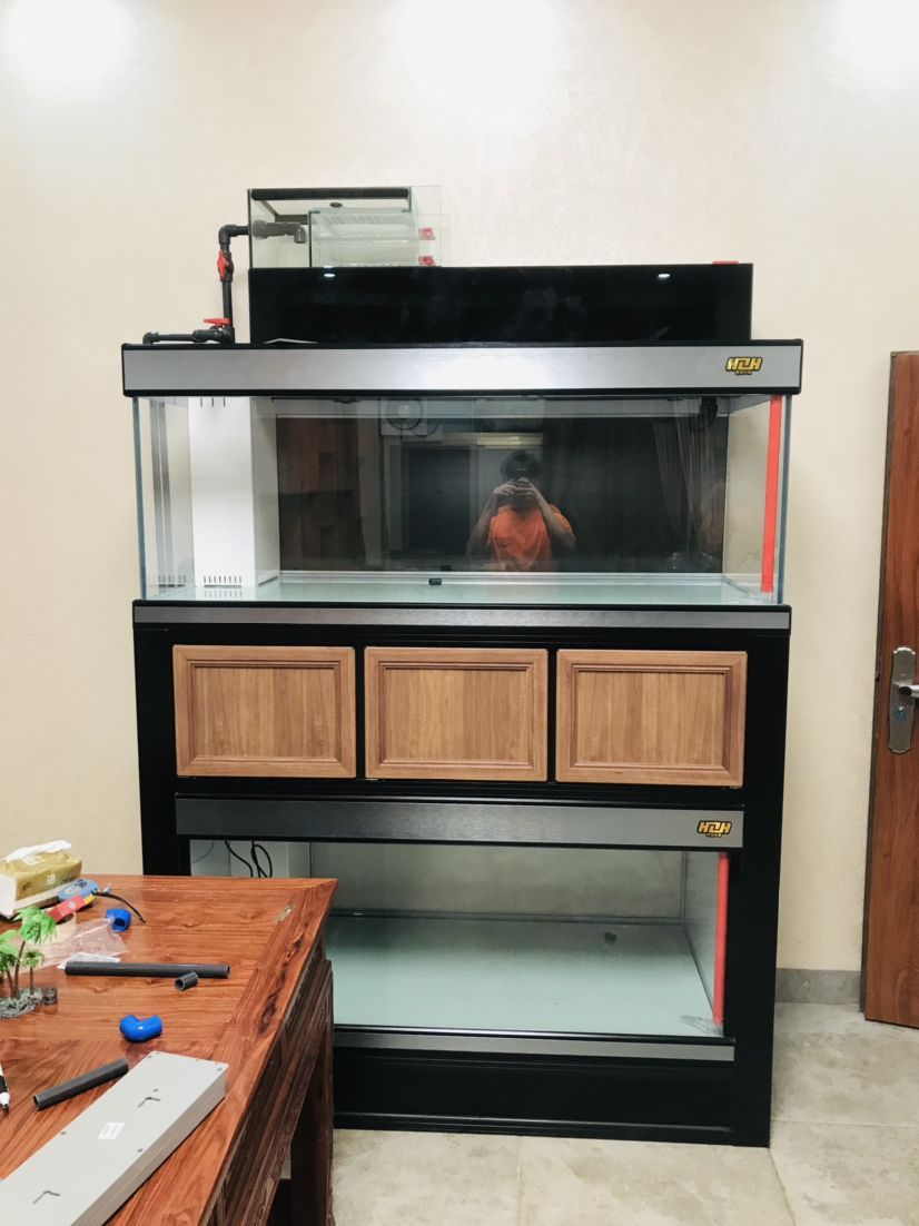 龍魚清蒸時長有講究，不同規格及器具下清