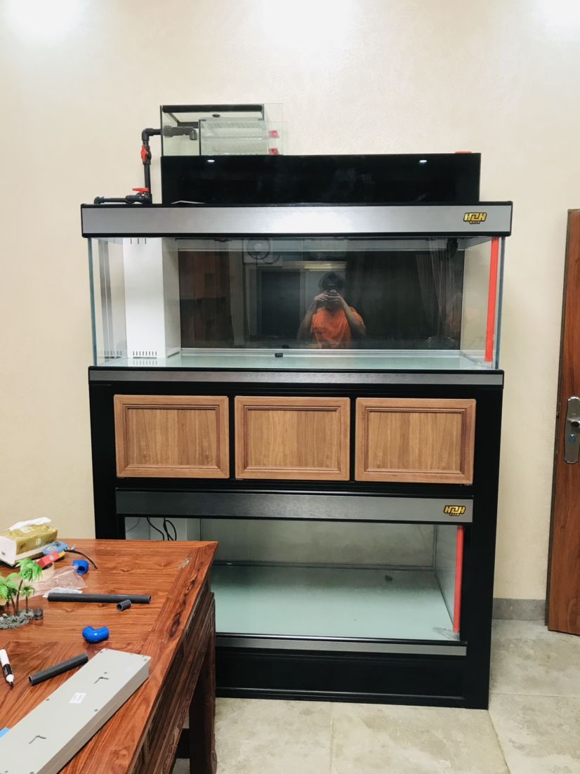 龍魚清蒸時長有講究，不同規格及器具下清