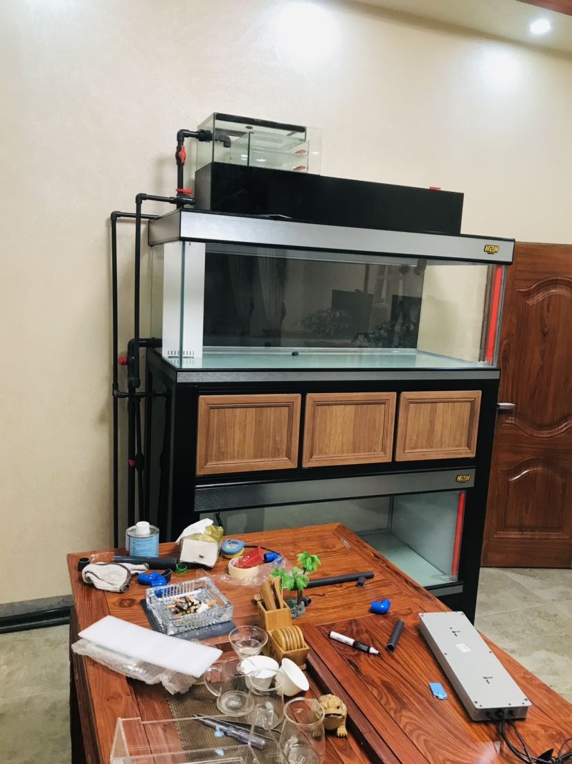 龍魚清蒸時長有講究，不同規格及器具下清