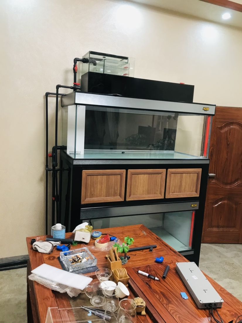 龍魚清蒸時長有講究，不同規格及器具下清