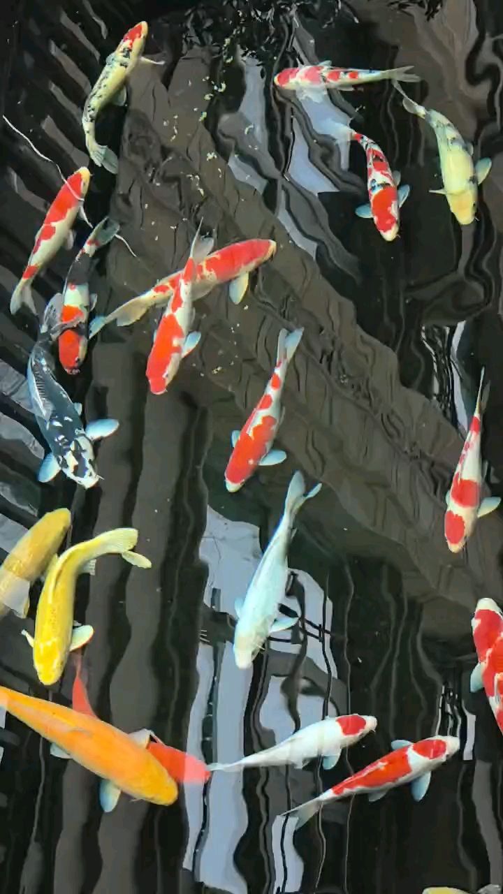 水比殺菌更重要，家庭水質維護的