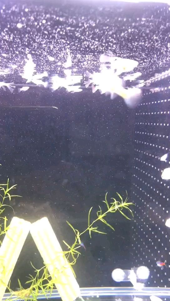 出發，精準生成符合要求的長