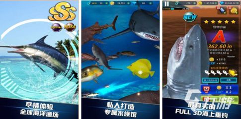 開家水族館游戲全解析，特色玩法與經營技巧
