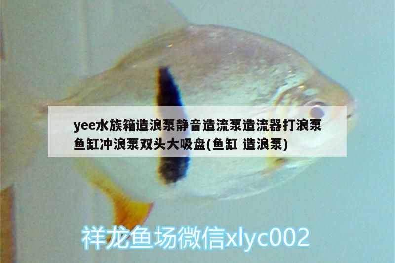 ee水族箱造浪泵 靜音雙頭大吸盤 魚缸沖浪必備造