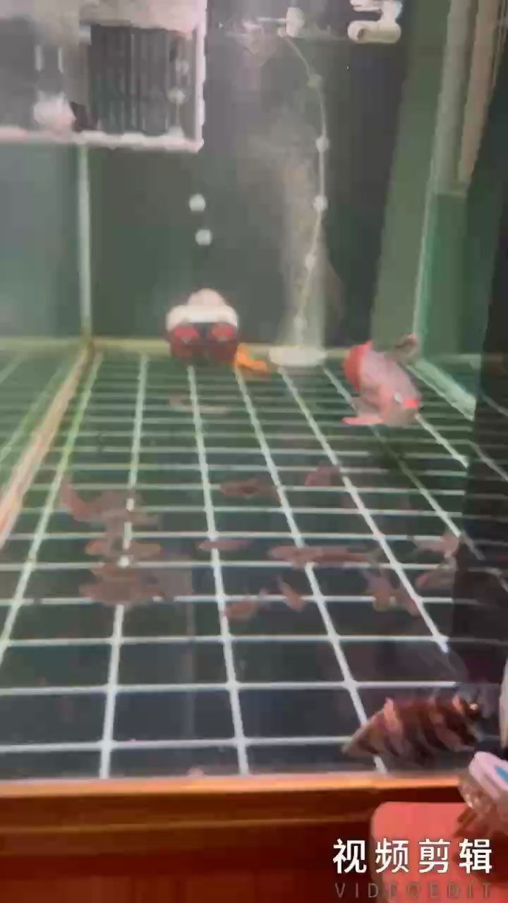 每日打卡，記錄生活點滴，見證自我成長與蛻變的堅持