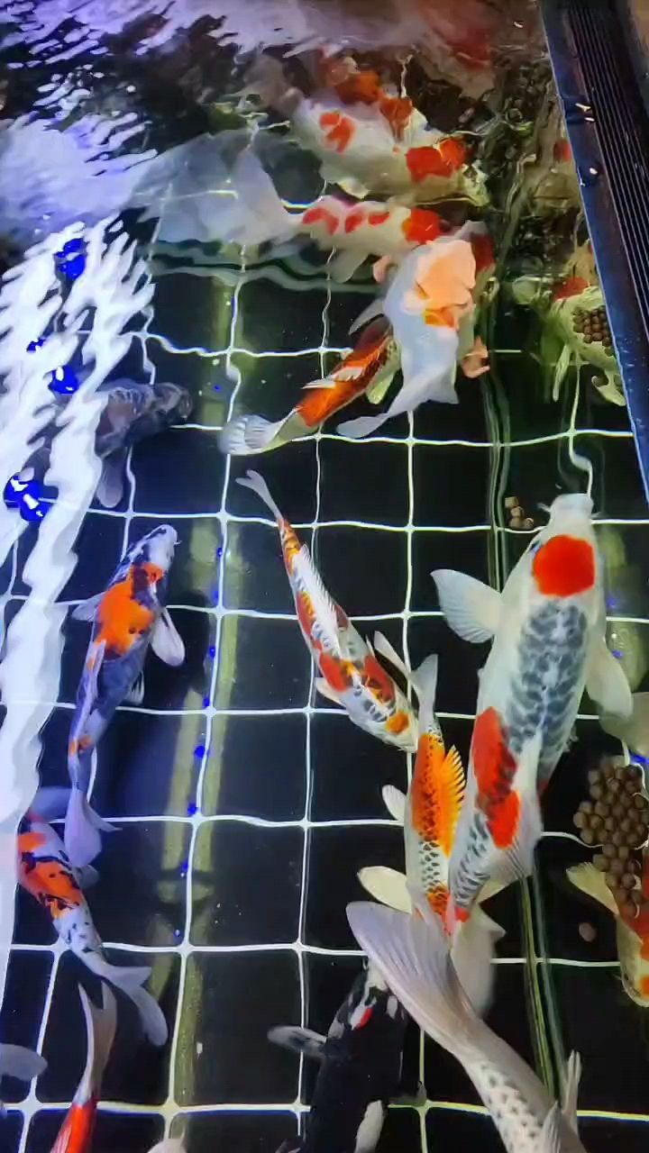 點滴，來咯來咯，那些值得