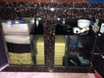 0L魚缸濾材用量、選擇及 0L魚缸濾材用量、選擇及 魚缸百科 第1張