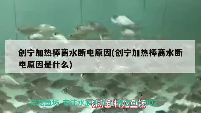 寧加熱棒離水斷電原因揭秘，安全機制與工作原理詳解