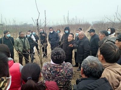 紅龍魚養護要點及價格全解析，如何養得活