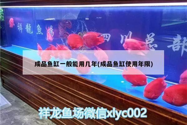 景水族魚缸廠家位置在哪？