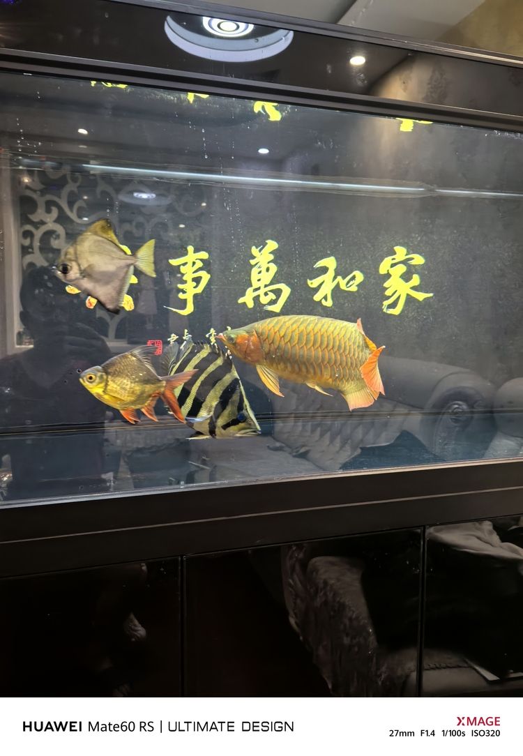 天花板，空間之上的顏值擔當與實用功能奧秘解析