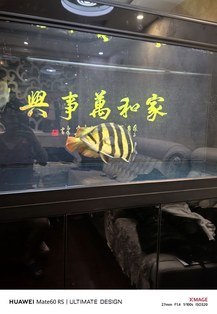 天花板，空間之上的顏值擔當與實用功能奧秘解析