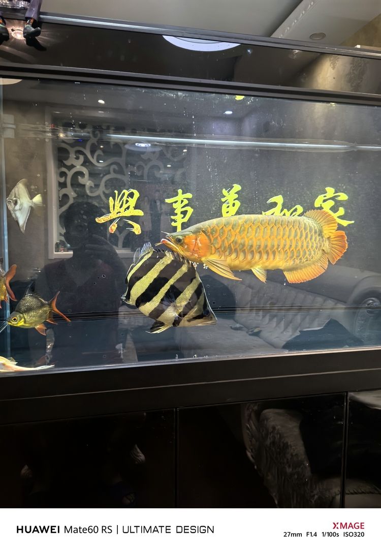 天花板，空間之上的顏值擔當與實用功能奧秘解析