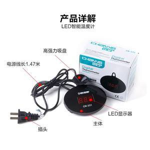 紅龍魚養殖攻略，環境、喂食到疾病預防，圖片詳解助你養出絢麗