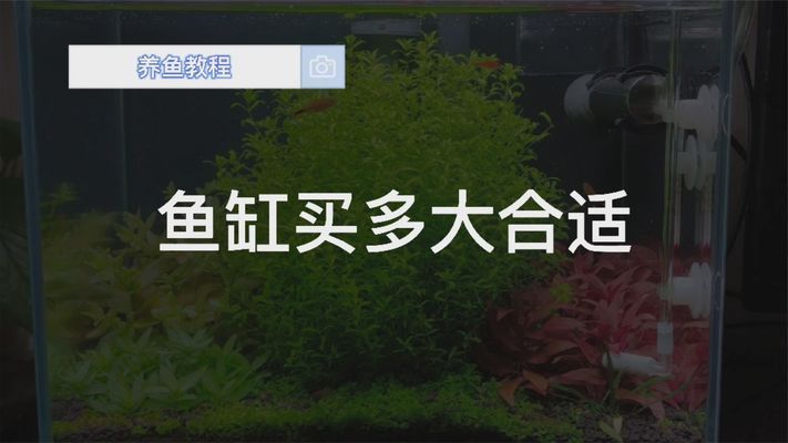 魚匠水泵er05使用及常見問題