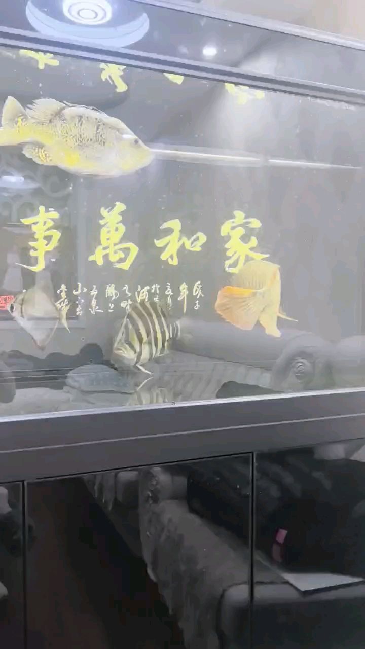 是水平欠佳，打球技術不行，難以在球場上施展身手???♀