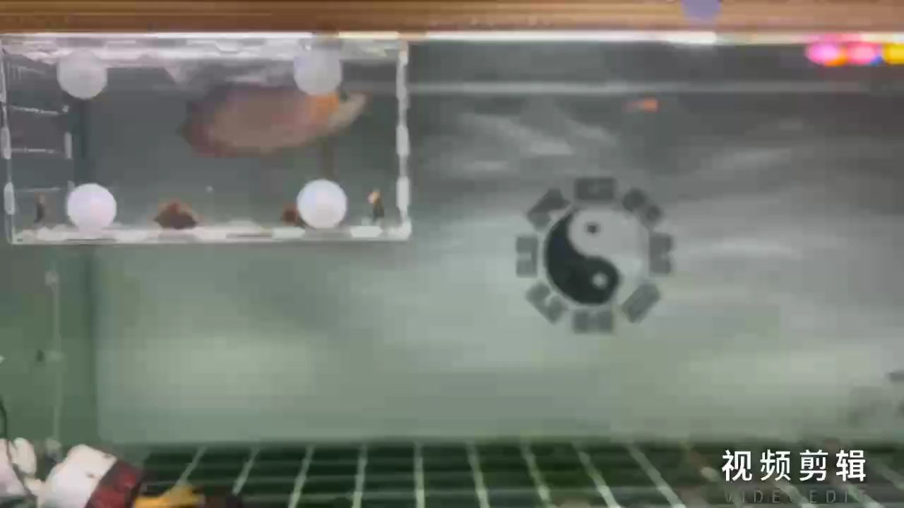 每日簽到，積累小行動，解鎖生活大不同與驚喜成就