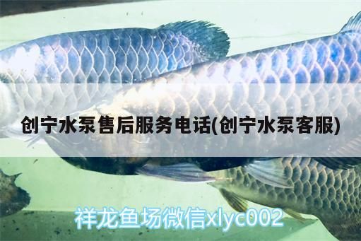 寧水泵售后服務電話及客服信息 專業(yè)