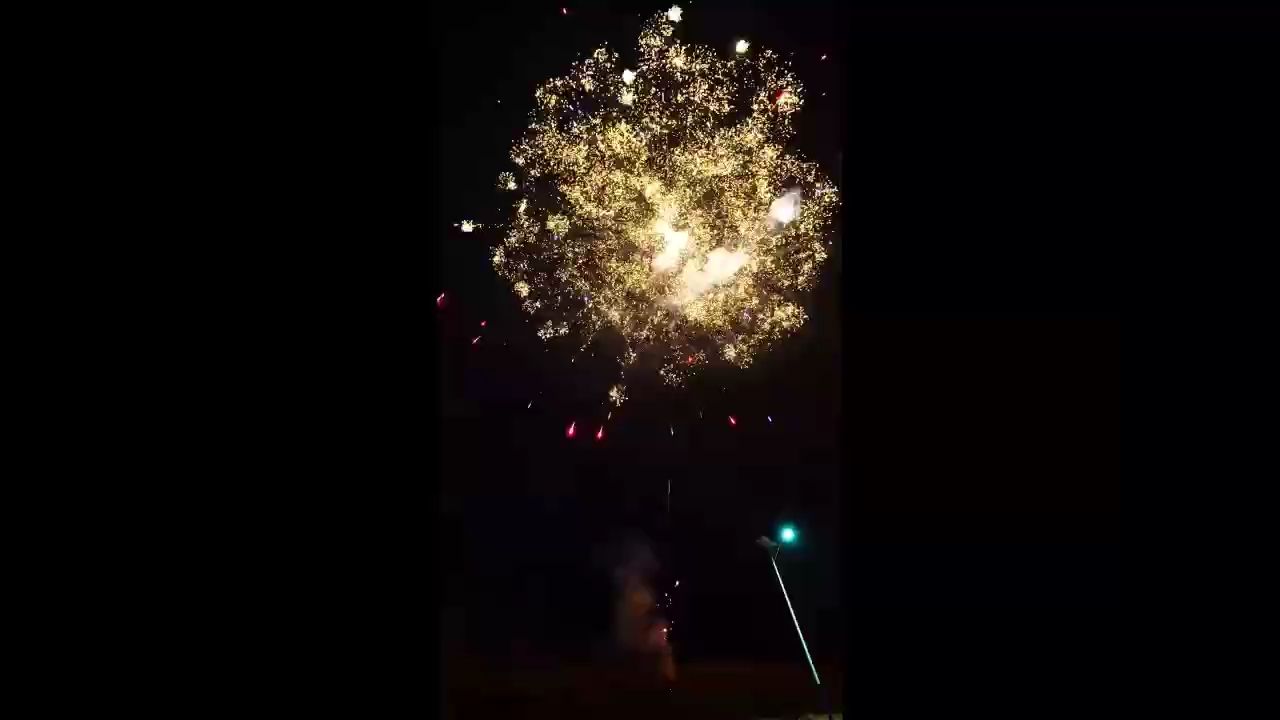魚(yú)玩送祝福，祝?大家新年快樂(lè)，愿新歲