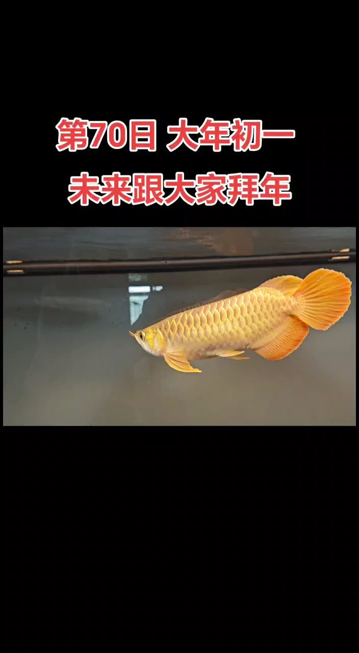 [具體人物]的奇妙冒險，探索未知，解鎖神秘寶藏