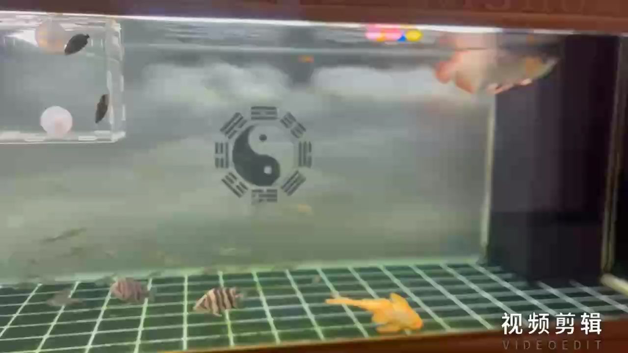 每日打卡，記錄點(diǎn)滴進(jìn)步，見證堅(jiān)持