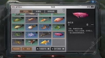 明日之后血紅龍魚垂釣秘籍，釣魚等級與