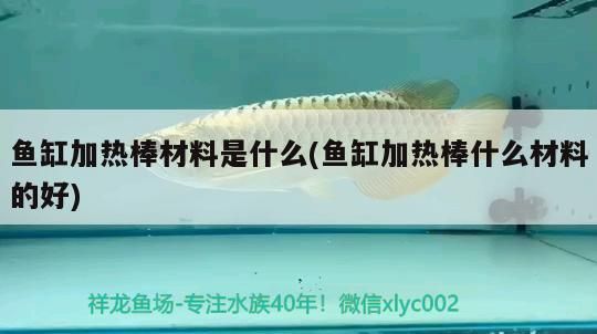 加熱棒材料揭秘，哪種材質更優，為魚兒營造溫暖