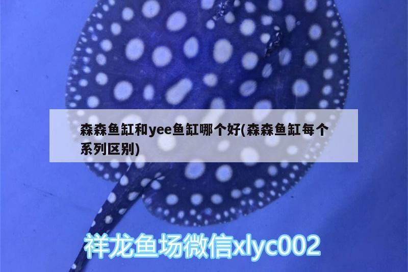 森魚缸與yee魚缸優劣對比，兼析森森魚缸各