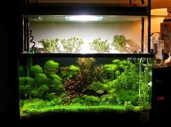 特億加熱棒頻繁報警，斷網提示不斷，究竟何