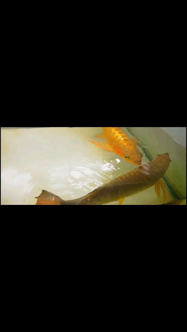 友們，時光里的珍貴情誼，歲月長河中永不褪色的