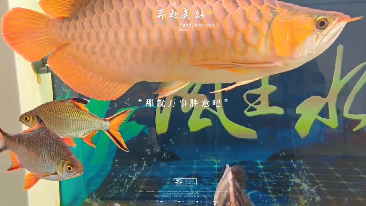 除夕，團圓時刻里的溫馨與傳承，共度歲末迎新春