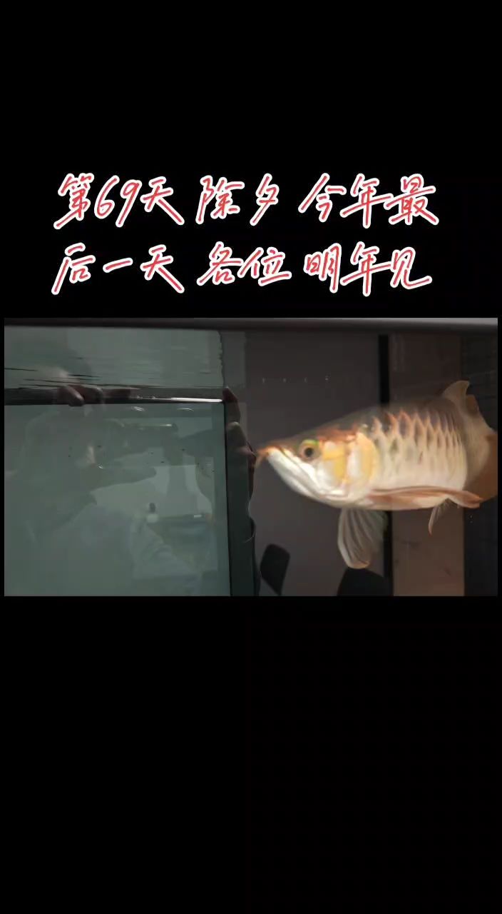從歷史到現代，探尋[具體內容]的發展脈絡與多元影響