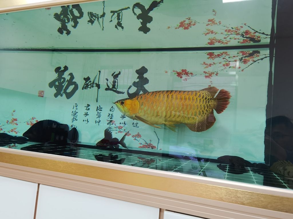 你未提供具體的內(nèi)容，我暫以示例來(lái)生成一個(gè)長(zhǎng)標(biāo)題，主題]深度剖析，涵蓋多方面要點(diǎn)及背后隱藏的關(guān)聯(lián)與啟示