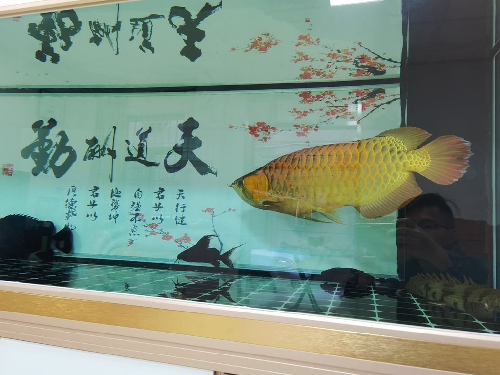 你未提供具體內容，以下是一個示例長標題，