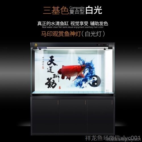 印龍魚增艷燈系列，亮彩、紅龍及
