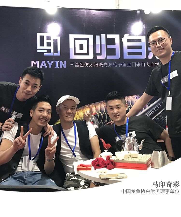 印龍魚增艷燈系列，亮彩、紅龍及