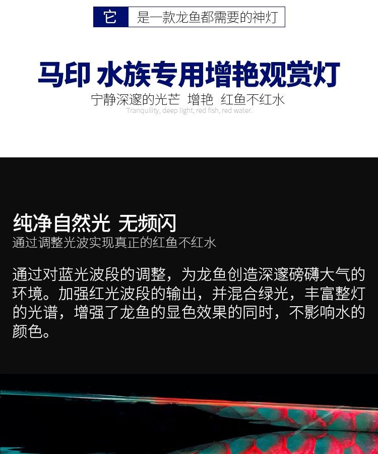 印龍魚增艷燈系列，亮彩、紅龍及
