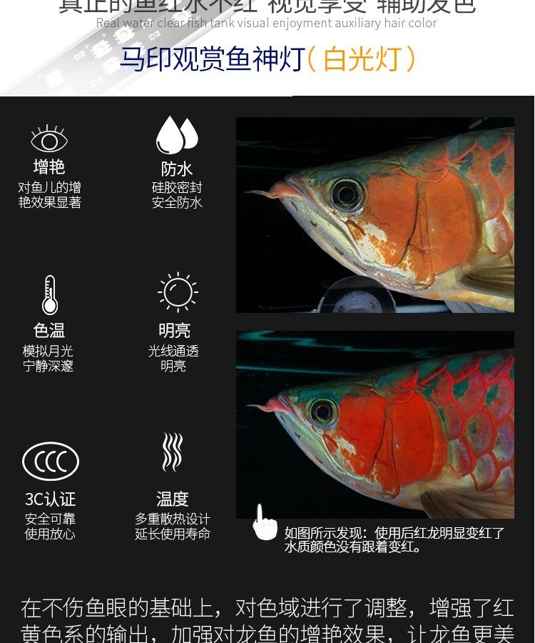 印龍魚增艷燈系列，亮彩、紅龍及