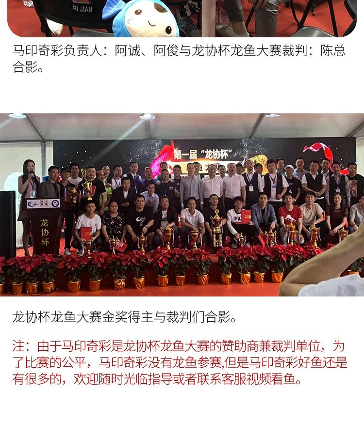 印龍魚增艷燈系列，亮彩、紅龍及