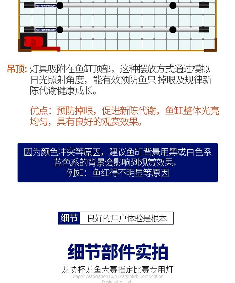 印龍魚增艷燈系列，亮彩、紅龍及
