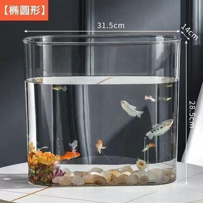 魚缸優劣及與玻璃缸對比，延長其壽命方法全解析