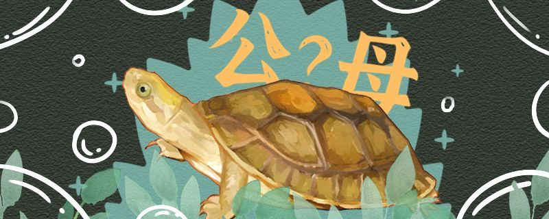 氏閉