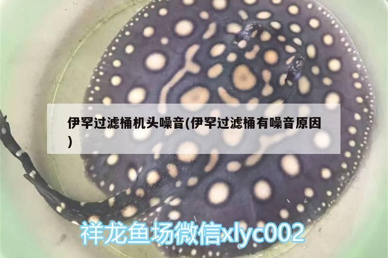 罕過濾桶機(jī)頭噪音原因剖析及