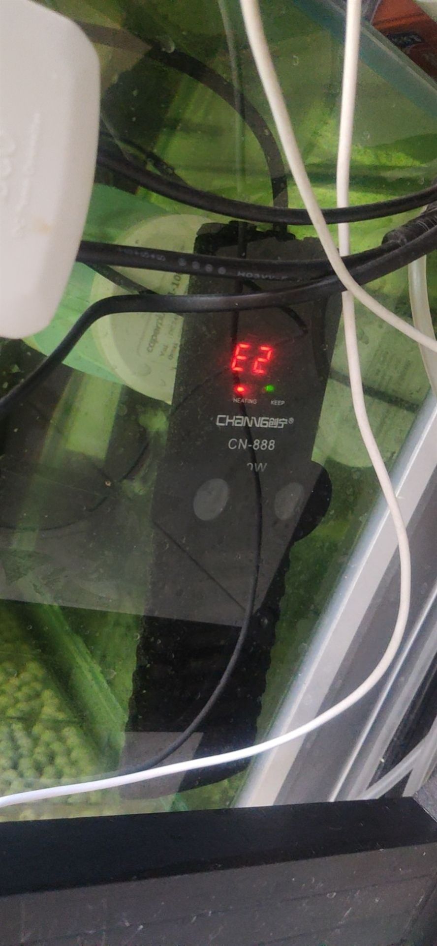 三門峽觀賞魚市場創寧這加熱棒質量真差