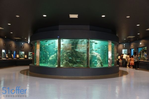 家水族館進貨要求怎么寫？ 家水族館進貨要求怎么寫？ 水族館百科（水族館加盟） 第4張