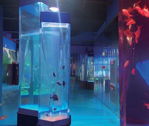家水族館進貨要求怎么寫？ 家水族館進貨要求怎么寫？ 水族館百科（水族館加盟） 第5張