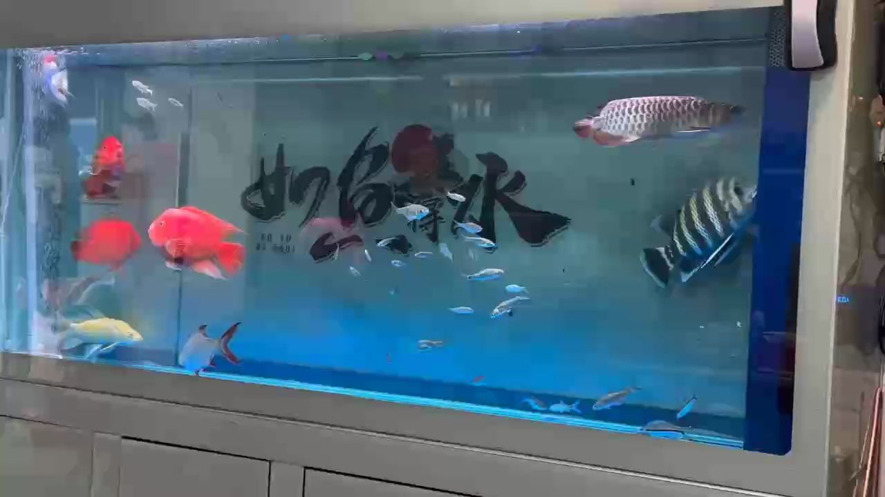 忙碌，踏上歸途，打卡結束，滿心歡喜回家