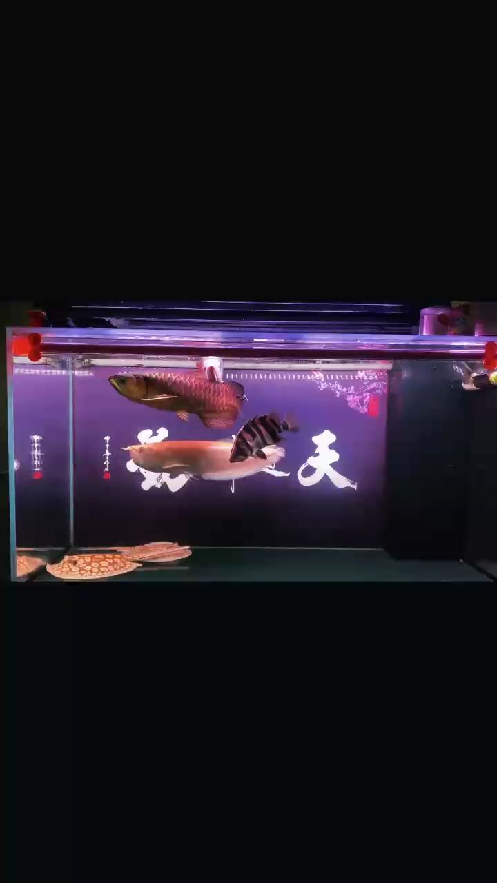 你未提供具體內容，以下為你生成一個示例標題，
