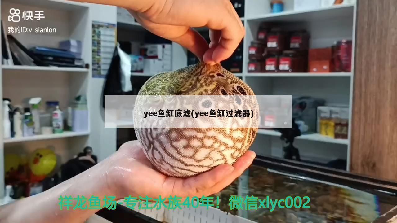 ee 魚缸底濾，高效過濾，暢享 ee 魚缸底濾，高效過濾，暢享 yee