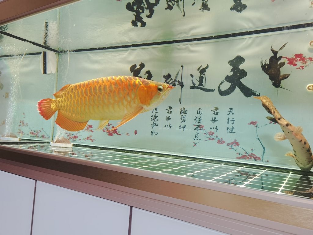 到[終點成果]，一段充滿[關鍵要素]的奇妙歷程